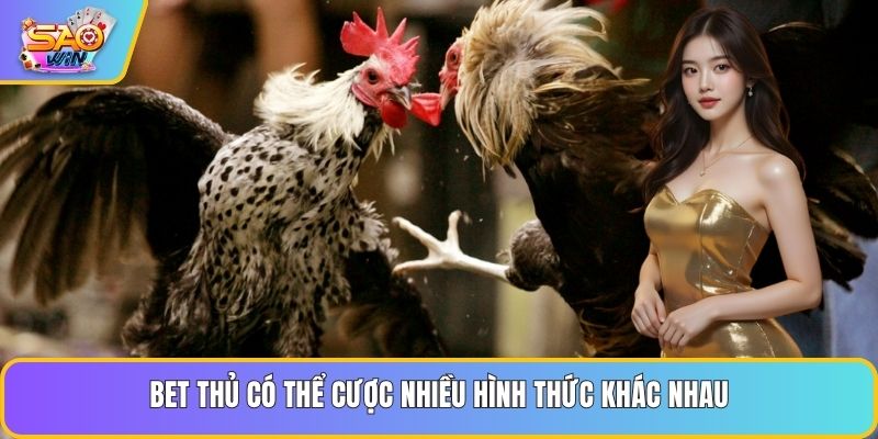 Bet thủ có thể cược nhiều hình thức khác nhau