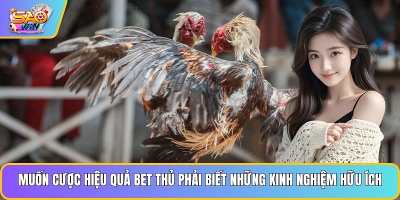 Muốn cược hiệu quả bet thủ phải biết những kinh nghiệm hữu ích