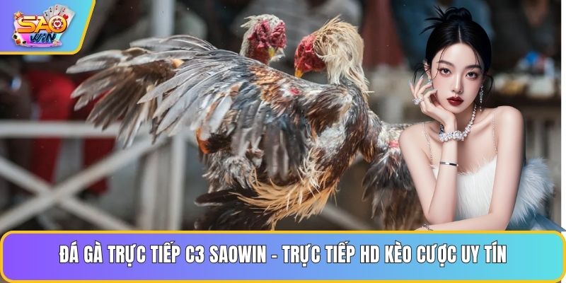 Đá Gà Trực Tiếp C3 Saowin - Trực Tiếp HD Kèo Cược Uy Tín