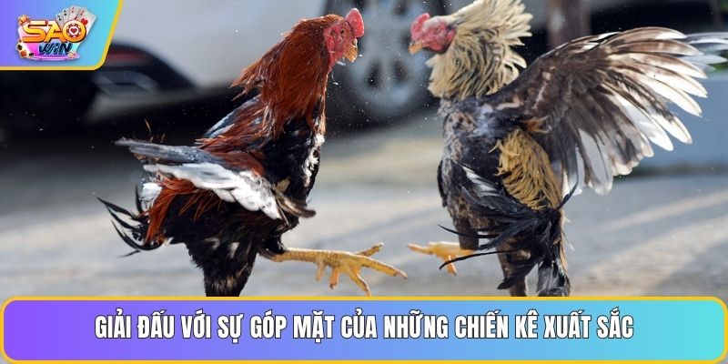 Giải đấu với sự góp mặt của những chiến kê xuất sắc