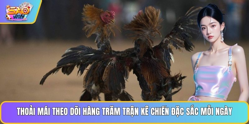 Thoải mái theo dõi hàng trăm trận kê chiến đặc sắc mỗi ngày